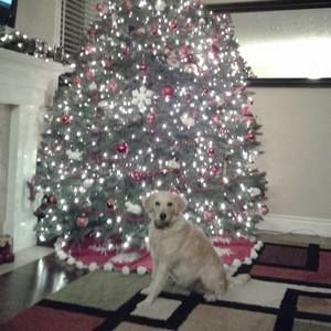 Meet your Posher, Rachele